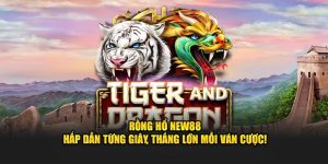 Rồng Hổ New88